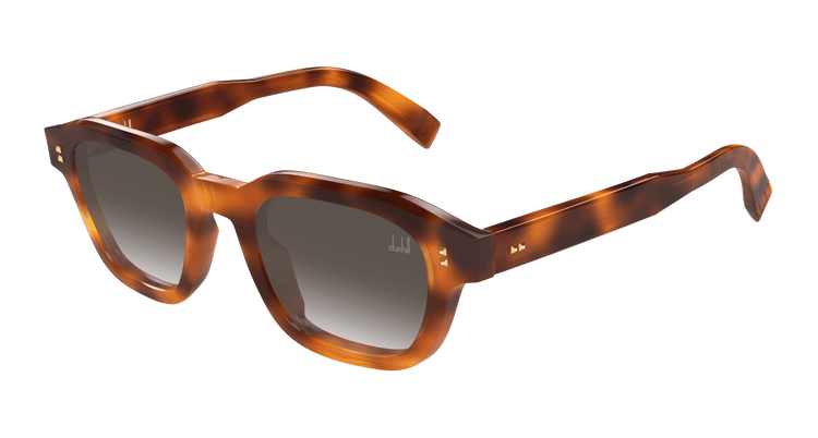 HAVANA / BROWN