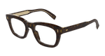 HAVANA / TRANSPARENT