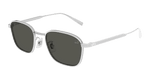 SILVER / GREY