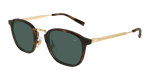 HAVANA / GOLD / GREEN