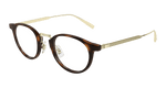 HAVANA / GOLD / TRANSPARENT