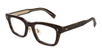 HAVANA / TRANSPARENT