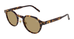 HAVANA / BROWN