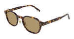 HAVANA / BROWN