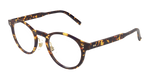 HAVANA / TRANSPARENT