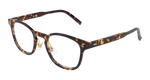 HAVANA / TRANSPARENT