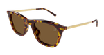 HAVANA / GOLD / BROWN