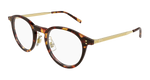 HAVANA / GOLD / TRANSPARENT