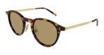 HAVANA / GOLD / BROWN