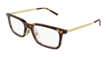 HAVANA / GOLD / TRANSPARENT