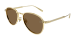 GOLD / BROWN