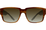 Umber Tortoise / Olive Gradient (AR)