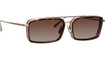 002 - LT GLD/DARKT-SHELL/MOCHA GRAD / 