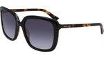 001 - BLACK TORTOISE / 