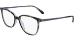 415 - BLUE TORTOISE / 