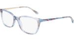 428 - BLUE TORTOISE / 