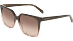 234 - TRANSPARENT BROWN GRADIENT / 