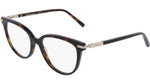 242 - DARK TORTOISE / 