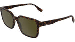 242 - MATTE DARK TORTOISE / 
