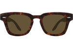 Chestnut / Sable (AR)