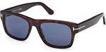 52V - Dark Havana / blue