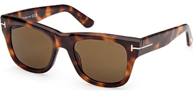 53E - Blonde Havana / brown
