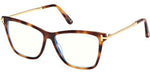 053 - Blonde Havana / 