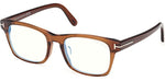 048 - Shiny Dark Brown / 