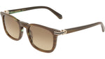208 - BROWN HORN / 