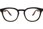 Black Amber Tortoise / Demo