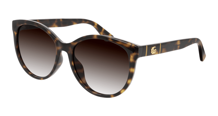 HAVANA / BROWN