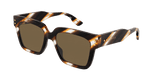 HAVANA / BROWN