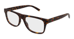 HAVANA / TRANSPARENT