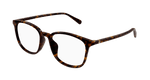 HAVANA / TRANSPARENT
