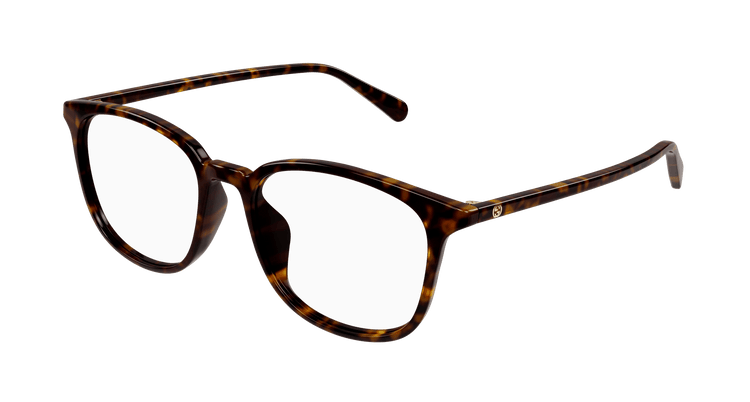 HAVANA / TRANSPARENT
