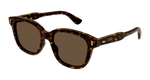 HAVANA / BROWN