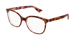 HAVANA / TRANSPARENT