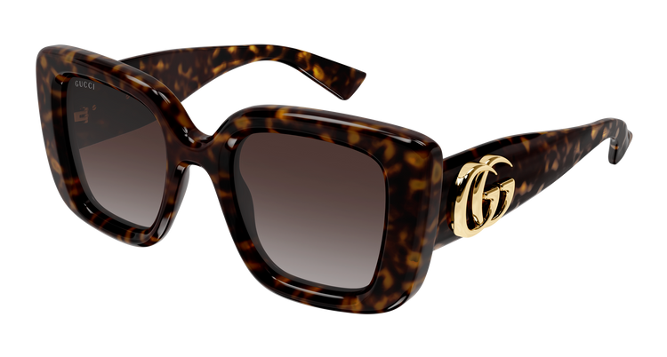 HAVANA / BROWN