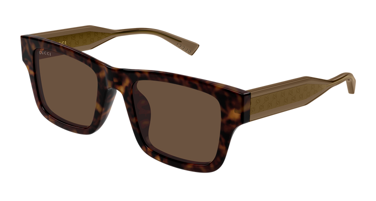 HAVANA / BROWN / BROWN