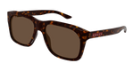 HAVANA / BROWN