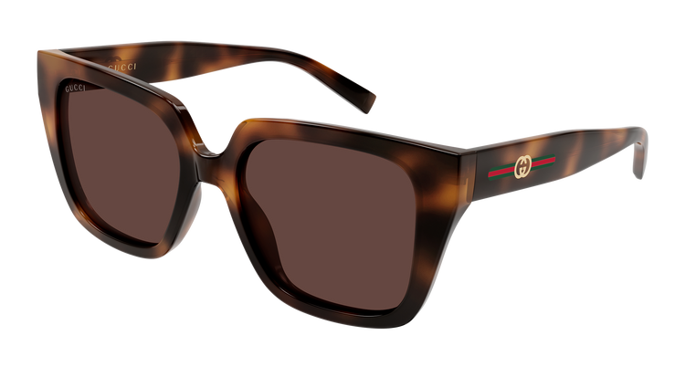 HAVANA / BROWN