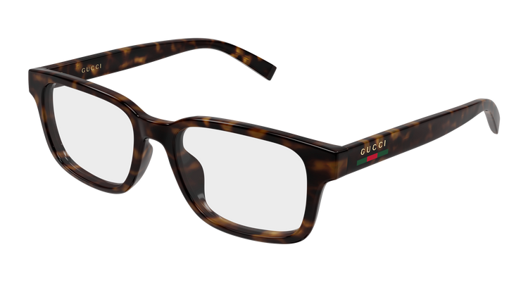 HAVANA / TRANSPARENT