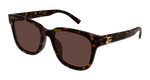 HAVANA / BROWN