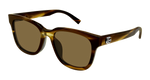 HAVANA / BROWN