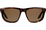Matte Chestnut / Sequoia Polarized (AR)