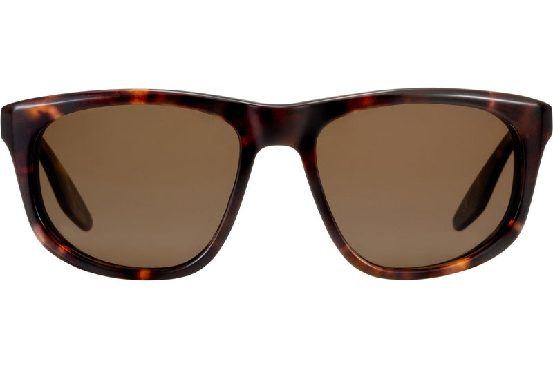 Matte Chestnut / Sequoia Polarized (AR)