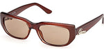 50E - Shiny Dark Brown / brown