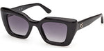 01B - Shiny Black / gradient smoke