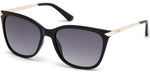 01B - Shiny Black / gradient smoke