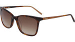 240 - SOFT TORTOISE / 